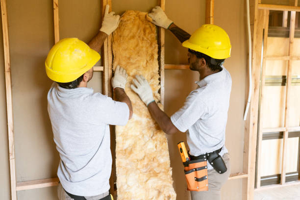 Trusted Metropolis, IL Insulation Services Experts